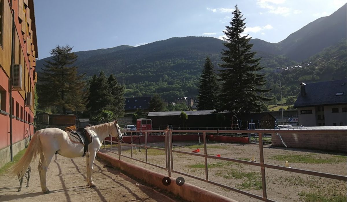 Caballo blanco ensillado junto a pista ecuestre en Vielha, rodeado de montañas en el Valle de Arán
