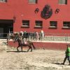 Caballo en entrenamiento con instructor en la pista de la Escuela de Equitación en el Valle de Arán