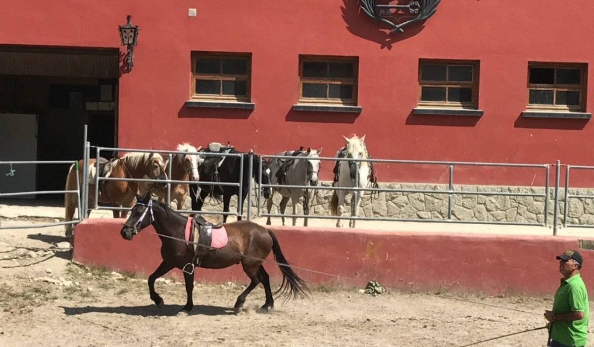 Caballo en entrenamiento con instructor en la pista de la Escuela de Equitación en el Valle de Arán